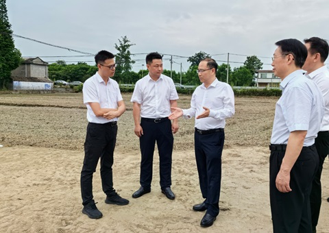 胡云赴眉山调研耕地；；；；；な褂煤透弑曜寂┨锝ㄉ枋虑