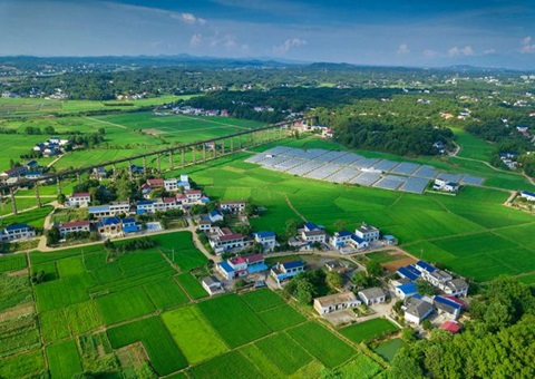 湖南：靶向发力盘活存量土地资产<br>为206家机关企事业单位定制处理方案，，，盘活土地2.6万亩