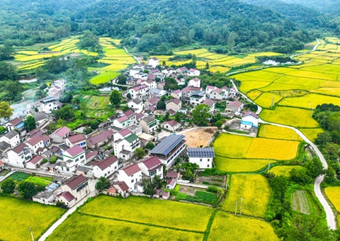 安徽省自然资源厅：130个州里耕地保；ばЧ怀 获赔偿激励1.3亿元