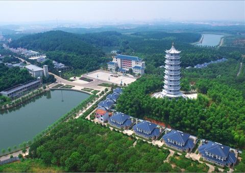 湖北：用好“一张图” ，，智治有支持